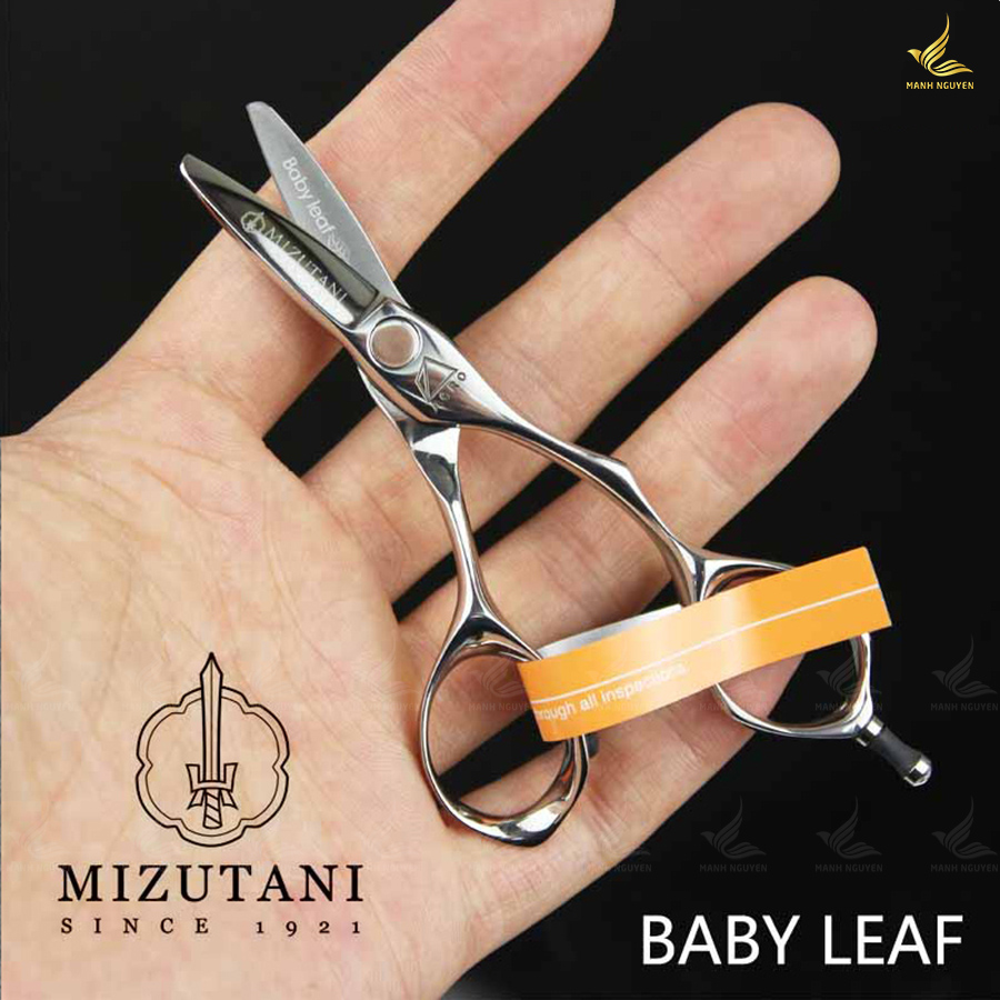 mizutani-Baby-leaf-2