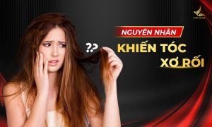 Nguyên nhân khiến tóc xơ rối là gì?