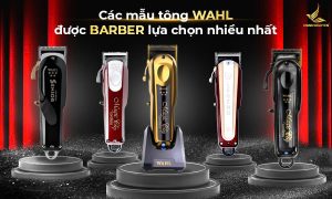 Mẫu tông đơ Wahl nào đang được ưa chuộng nhất?