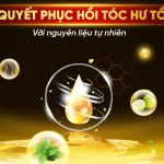 Bí quyết phục hồi tóc hư tổn với nguyên liệu tự nhiên