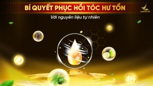 Bí quyết phục hồi tóc hư tổn với nguyên liệu tự nhiên