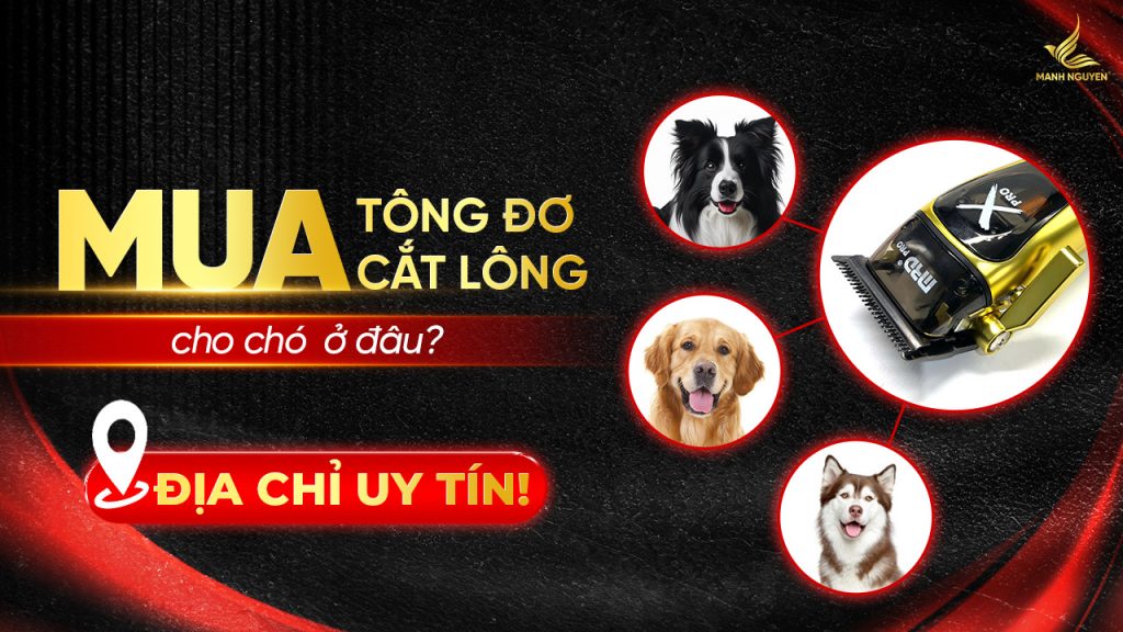 Mua tông đơ cắt lông cho chó ở đâu- Địa chỉ uy tín!